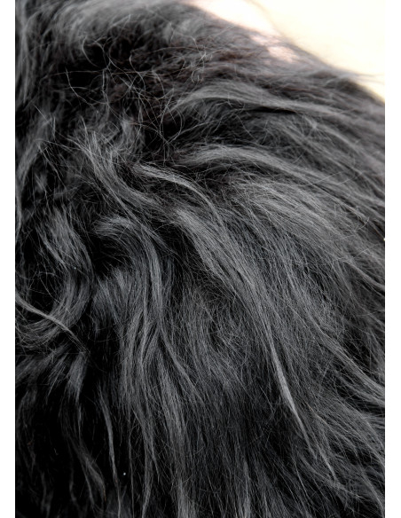 Viking skulderbeskytter til børn i...