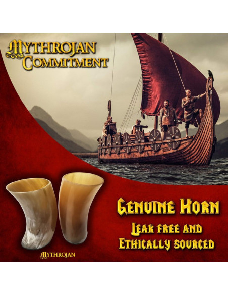 Set van 2 Vikingbeker van hoorn om...