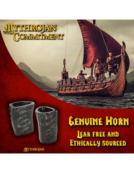 Set van 2 Viking drinkglazen van...