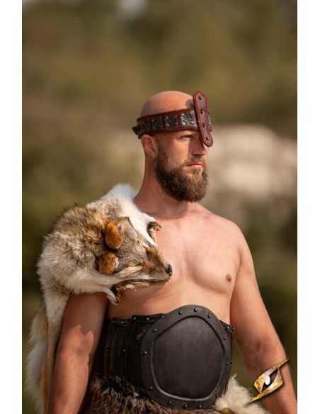 Diadema de la fuerza, con protección...