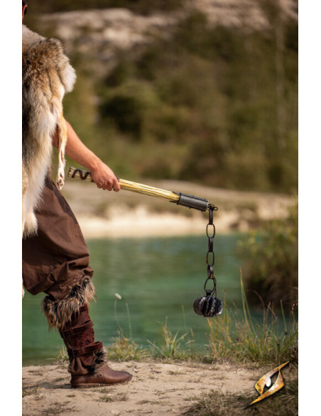 Mango für die Maza Lumberlash LARP...