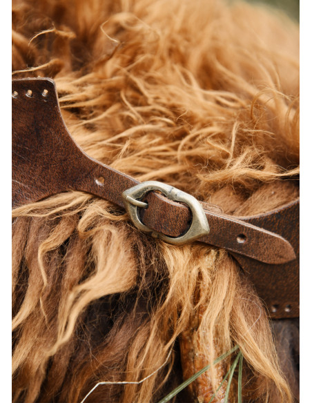 Kraagsluiting met gesp, kleur bruin