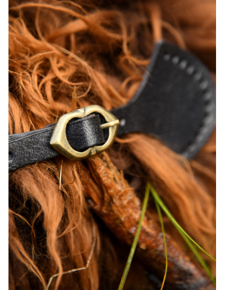 Kraagsluiting met gesp, zwarte kleur