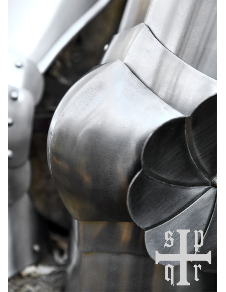 Medievale stålvagter til knæ og overben