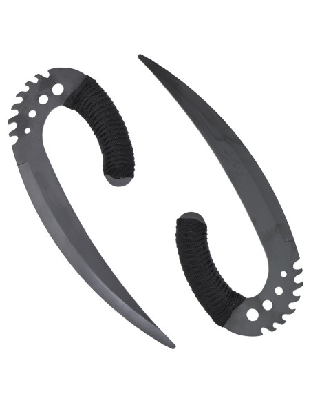 Schwarze Säbelkrallen Die Chroniken...