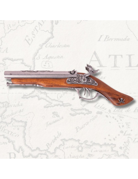 Pistola de dos cañones de percusión...