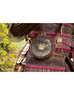 Vikingse waterfles van Odin met riem