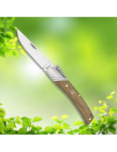 Zebramesser Palanquilla mit Holzgriff (20,50 cm.)
