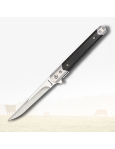Albainox Taschenmesser mit schwarzem Stamina-Griff (21,2 cm)