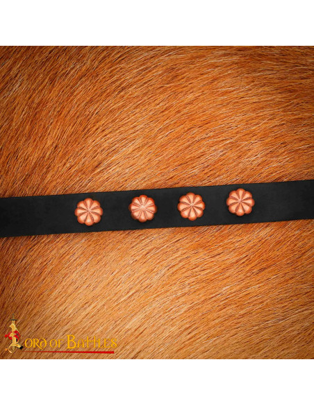 Pack van 5 riemversieringen model...