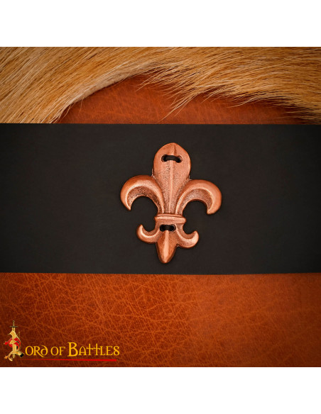 Bronzen Fleur de Lis ornament voor...