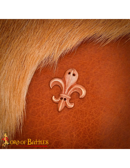 Bronzen Fleur de Lis ornament voor...