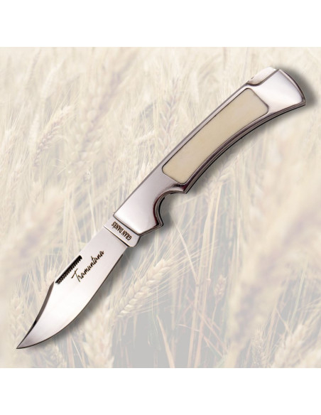 Navaja Gran Danés fra Tramuntana...