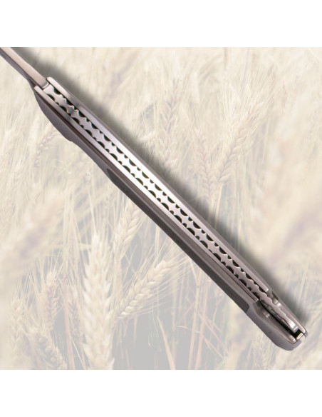 Navaja Gran Danés de Tramuntana...