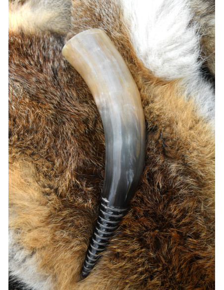 Vikingerhorn mit spiralförmigem...