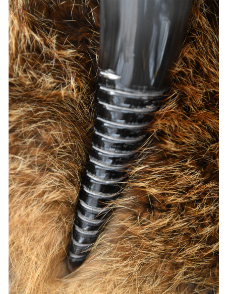 Vikingenhoorn met spiraalontwerp (250...