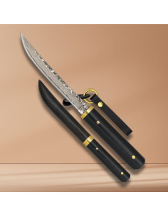Albainox kniv, japansk Tanto design, damaskblad