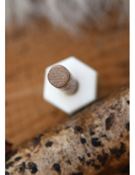 Draaiende dobbelsteen gemaakt van been