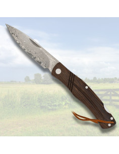 Albainox feltkniv Damasco blad 73 lag (18,3 cm.)