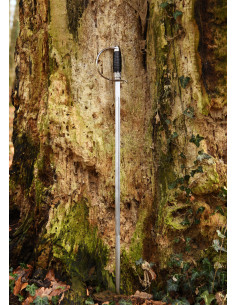 Decoratieve Duitse rapier zwaard met schede 2