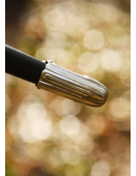 Dekorativ tysk rapier med skede