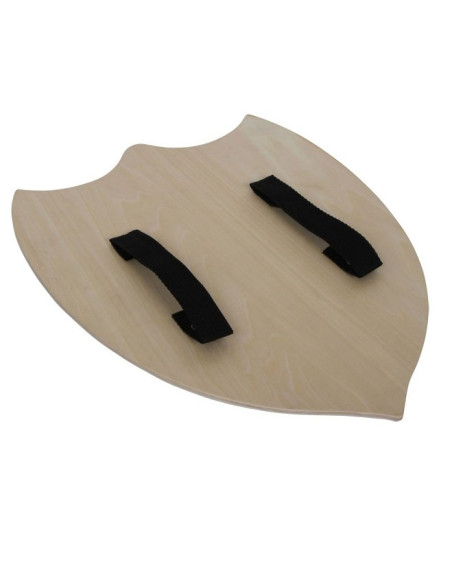 Middeleeuws schild Adam, voor kinderen