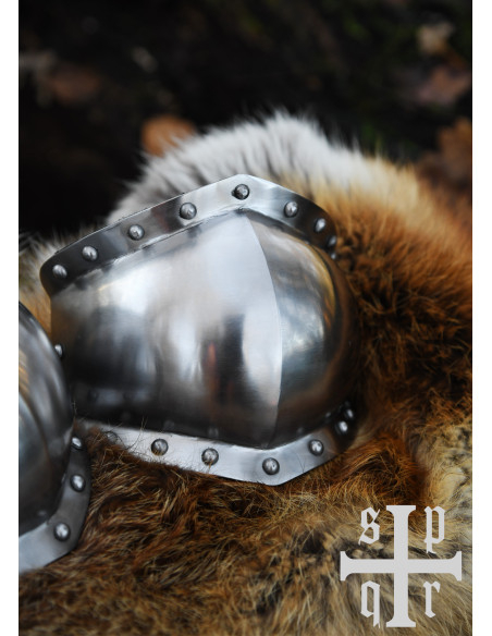 Paard van middeleeuwse...