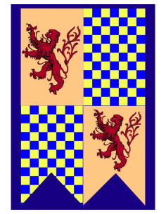 Middeleeuwse vlag León schaakbord