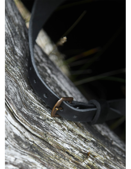 Celada alemana funcional, año 1480