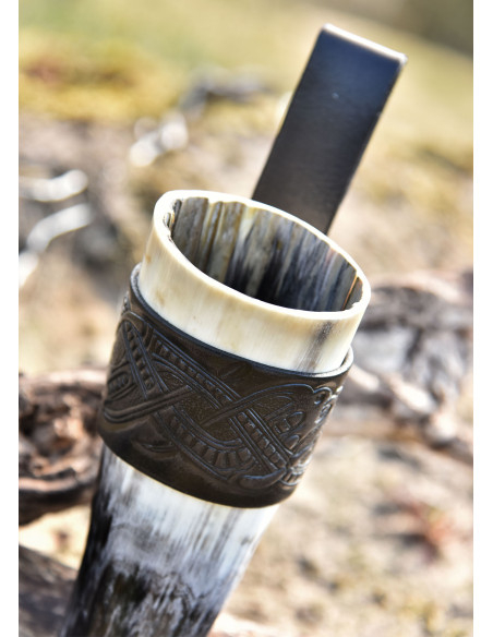 Hörnerhalter mit...