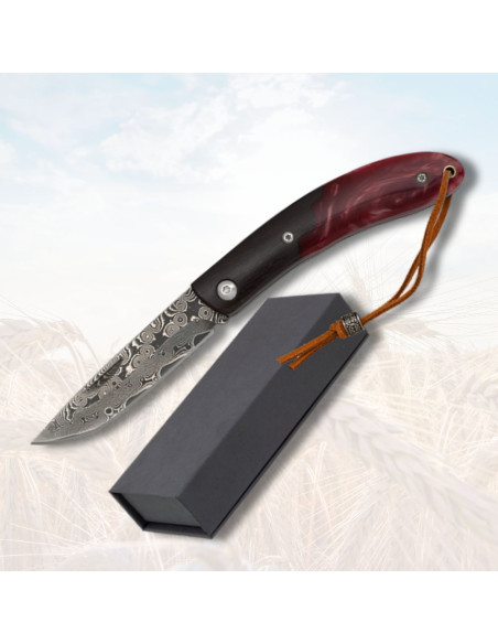 Feldmesser Albainox, Damast-Finish...