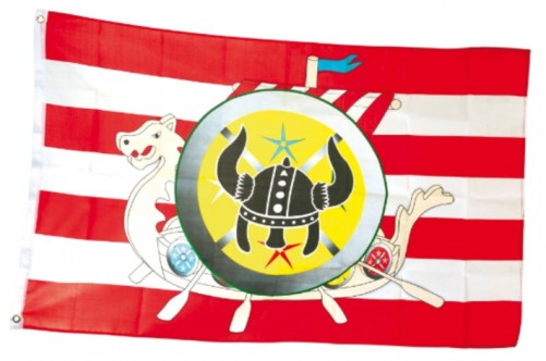 Bandera Vikinga 501x332 custom