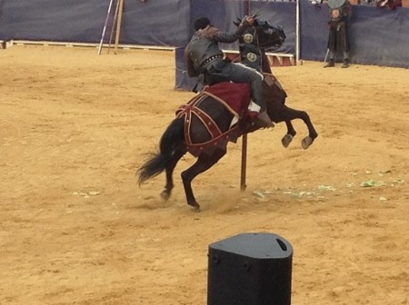 Torneo Medieval del rey Teruel 2013