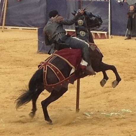 Caballo con gualdrapa - La gualdrapa como vestido medieval para caballos