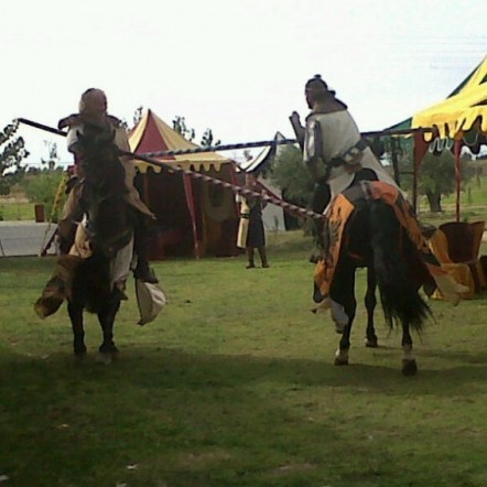 Torneo de jinetes 442x442 custom - La gualdrappa come vestito medievale per cavalli