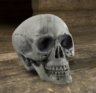 Cráneo humano fabricado en resina - Disfruta las fiestas de Halloween
