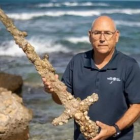Espada Cruzada de 900 años hallada en costa Israelí