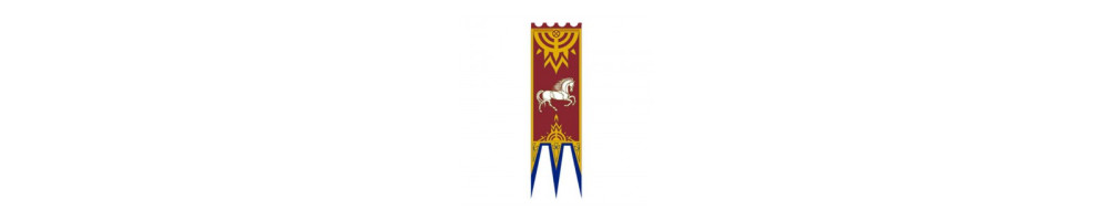 Estandartes Señor de los Anillos